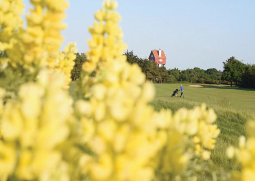 Golf Opens