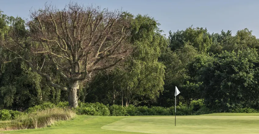 Thorpeness golf course, view through to tee