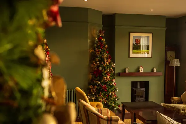 Christmas decorations in the lounge