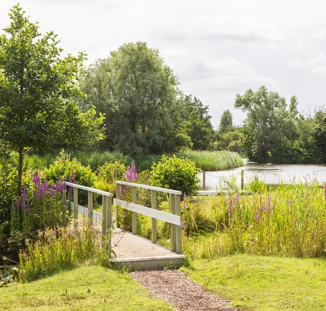 Thorpeness Meare Garden